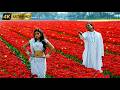 Aparichithudu O Sukumari 4K 5 1 Telugu Video Song