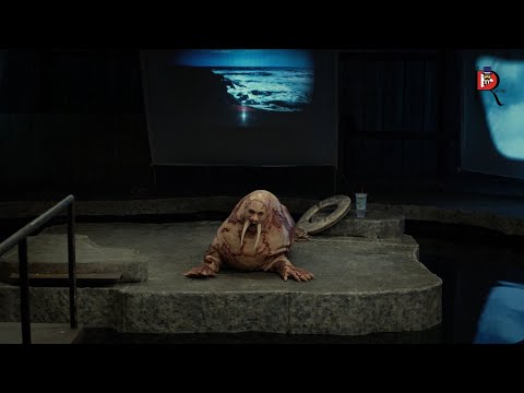 A Man Is Turned Into a Walrus by a Mad Scientist | “Tusk” (2014) Movie Recap