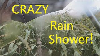 Walking In Very Heavy Rain Shower With Strong Winds - Sounds Of Rain Storm Lashing Against Umbrella!