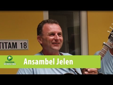 Veseljakovi gostje - ANSAMBEL JELEN