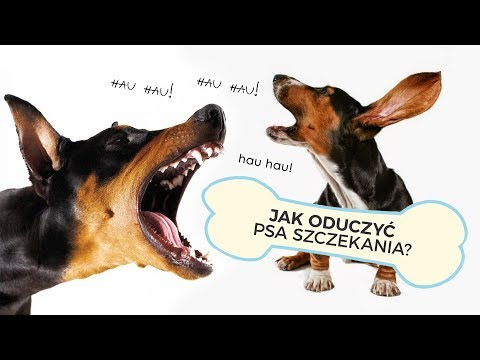 Koślawe zniekształcenie klasy 2 zdjęcia Lekarze koślawego