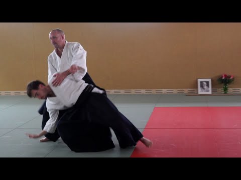 Aikido Seminar: Stephane Goffin Vienna April 22