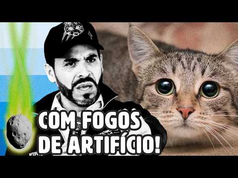 NOVO PRESIDENTE DA COLÔMIBIA ADMITE QUE FAZIA ABSURDO COM GATOS | PLANTÃO
