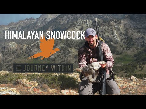 Himalayan Snowcock: The Journey Within - A Bird Hunter's Diary | Mark V Peterson