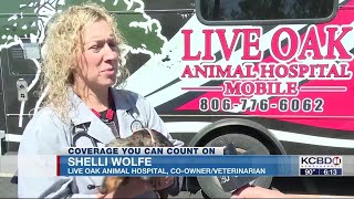 Live Oak Animal Hospital introduces new clinic on wheels