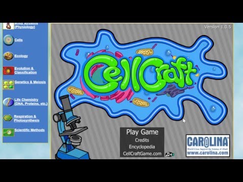 CellCraft youtube-video