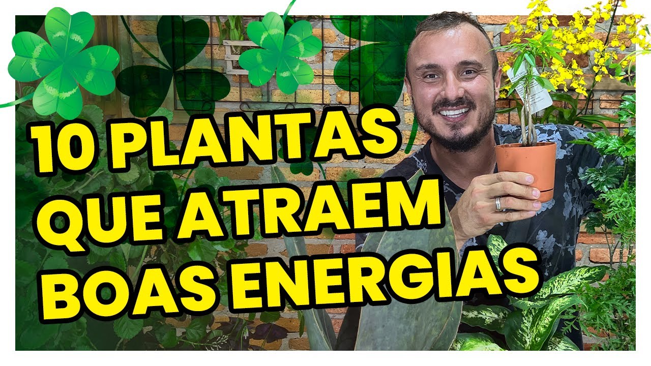 10 PLANTAS que atraem SORTE e BOAS ENERGIAS