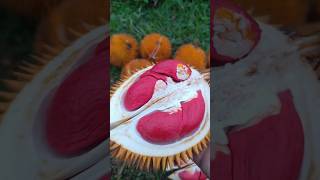 Download lagu It turns out that in Indonesia there is red durian #reddurian mp3