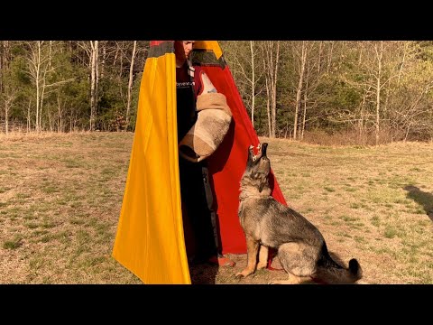 Sushi vom Quellwasser - protection