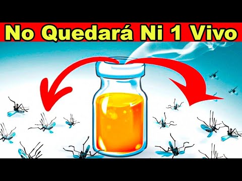5 HOMEMADE TRICKS TO ELIMINATE MOSQUITOES AT NIGHT
