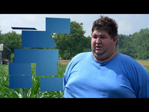 DEKALB hibridi kukuruza - iskustva proizvođača Dejan Šomoci i Tadej Bohorč