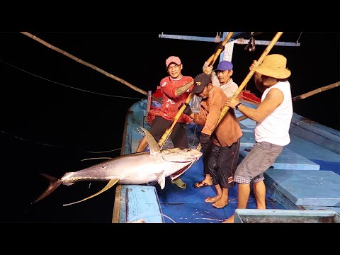 Full 20 days living and working at sea |  Squid fishing |  Tuna fishing