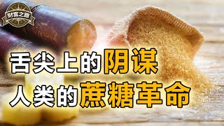 黑奴经济的罪魁祸首，世界战争的始作俑者，世界格局的制定者，蔗糖是怎么推动人类工业革命的？【财富之路6】上集