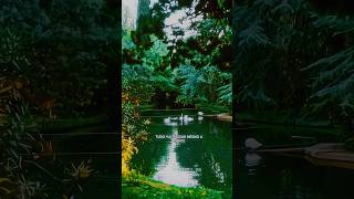 Pensamento certo muda tudo. Evolução diária, sem desculpas #shorts #evolução #determinação