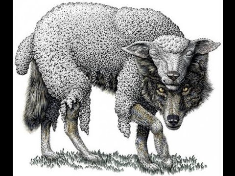 Anti-cultist terrorism. Part 2: What are the victims of a cults?