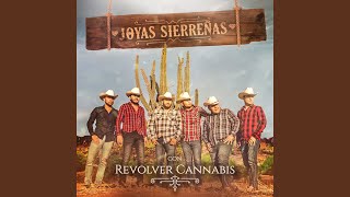 Entre Cigarro y Cigarro Lyrics English Translation