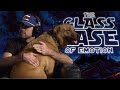 Space race for rich people and Sturgill (the dog) joins the show | Glass Case of Emotion
