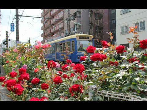 動画サムネイル