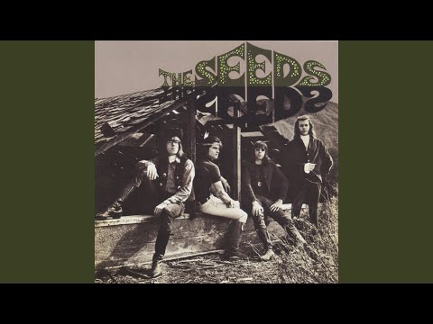 Dreaming Of Your Love - The Seeds