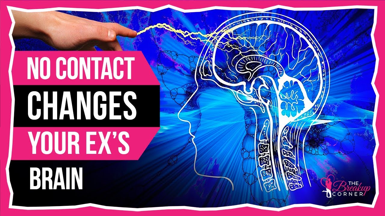 How No Contact CHANGES Your Ex's Brain