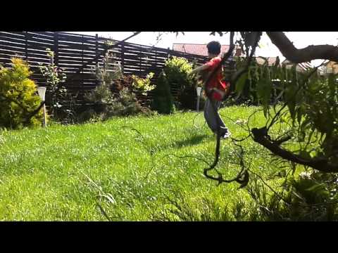 Miko - Squash - hidden camera... unusual training