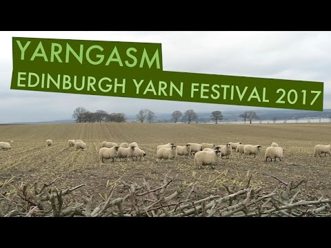 YARNGASM: Episode 227 - "Edinburgh Yarn Festival Recap + Yarn Haul"
