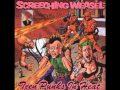 Screeching Weasel~ Message in a Beer Bottle