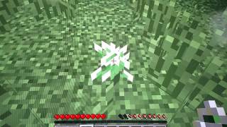 Feather land ep 1
