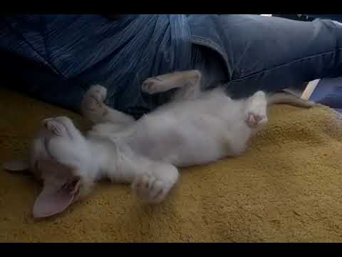 Sleeping Beauty..! 😘