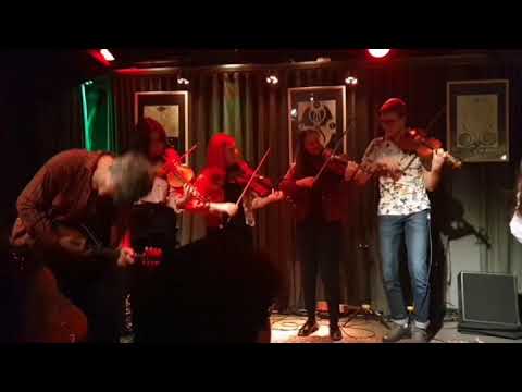 Slovenian Fiddle Gang at Prulček, Ljubljana.