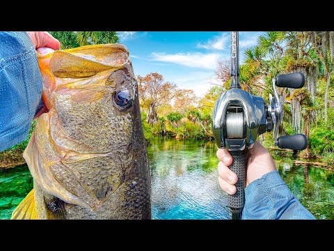 Fishing A Crystal CLEAR Lagoon For BIG Bass - Multiple Giants