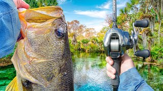 Fishing A Crystal CLEAR Lagoon For BIG Bass - Multiple Giants