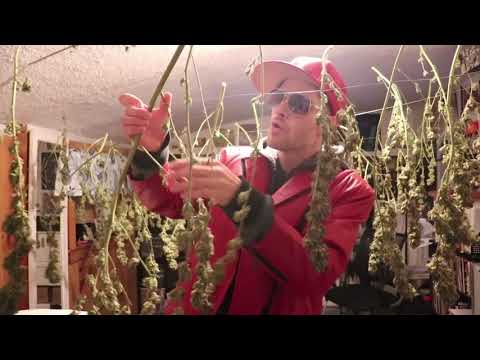 Boxguts - HBB7 Hundo(prod. Cruxaider)/HBB8 Grill Stretch(prod. Beatahoe)