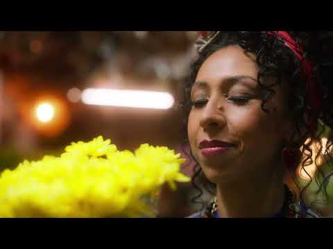 La Delio Valdez - Pájaro y Demonio (Visualizer)