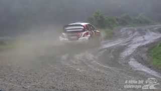 Alex Kelsey, MC2 - Hawkes Bay Rally, SS1 Cricklewood