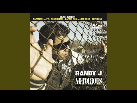 Notorious Jatt (feat. P. Gill)