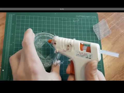 Grillenzucht mit einfachen Mitteln