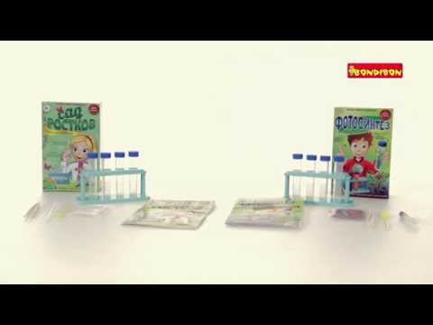 Миниатюра изображения товара Набор для опытов Bondibon Японские опыты. Сад ростков / ВВ1134