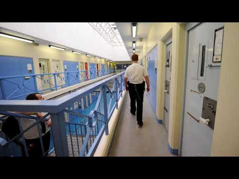 ZINO (M.I.A.M.I) -Bump Heads