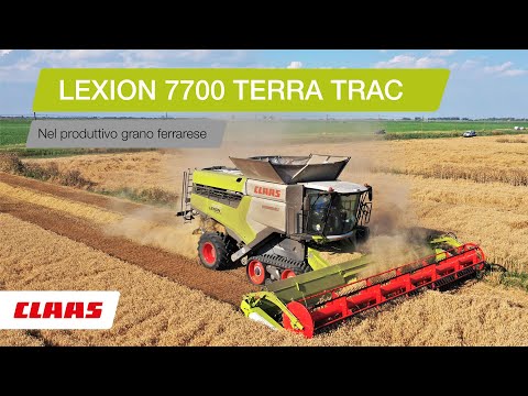 CLAAS In Campo 2020 - LEXION 7700 TT nel ferrarese