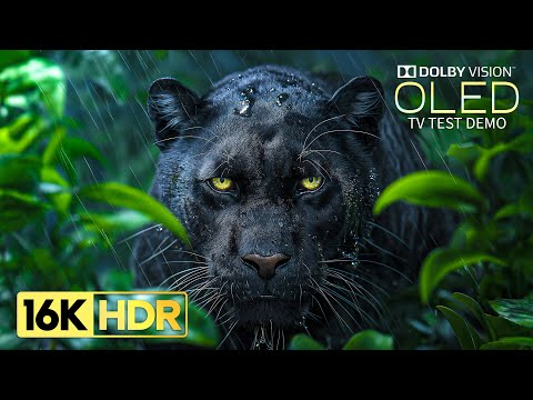 Just Wow 16K HDR Video ULTRA HD 120fps | Dolby Vision (8K/4K TV)