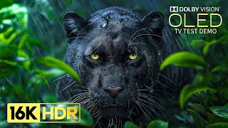 Download lagu Just Wow 16K HDR Video ULTRA HD 120fps | Dolby Vision (8K/4K TV) mp3