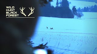 Im Revier in der Jagdruhezeit