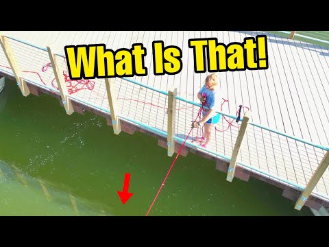 My Girlfriend Hit The Ultimate Magnet Fishing Jackpot You Won't Believe What She Found!!