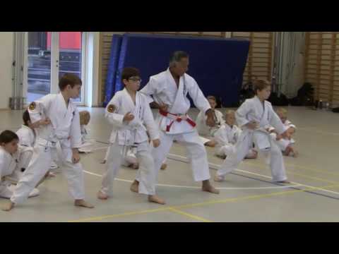 JOSHINKAN ISSHINRYU KARATE KOBUDO ASSOCIATION 6/6 - Basics For The Kids With Uechi Sensei