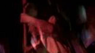 The Steamers, Donkey dicht dat nooit.