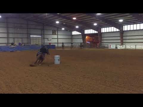 Runbridled - Mason, TN - 12/30/2017 - 15.966