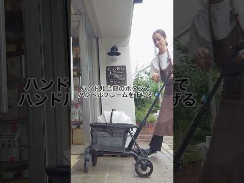 AIR BAGGY wizX　折り畳み♪