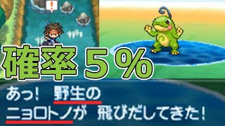 ニョロトノ ポケットモンスター ミニリュウ マスキッパ トサキント