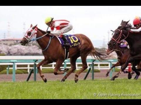 2017 JRA Oka Sho / Japan 1000 Guineas